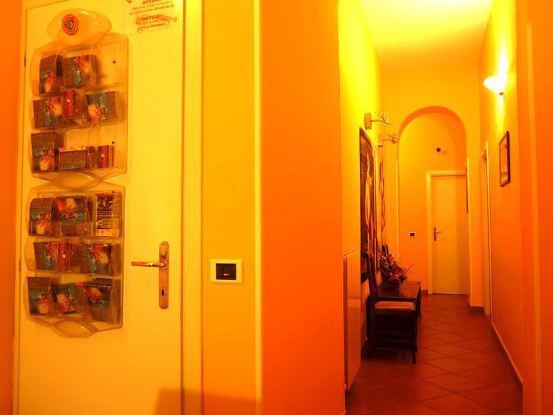 Discover Guest house